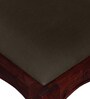 Clifford Sheesham Wood Dining Chair (Set of 2) in Honey Oak Finish