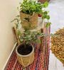 (1Pc) Beige Jute Handwoven Multipurpose Planter & Storage Basket