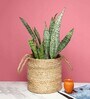 (1Pc) Beige Jute Handwoven Multipurpose Planter & Storage Basket