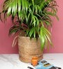 (1Pc) Beige Jute Handwoven Multipurpose Planter & Storage Basket