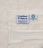 Cloud Dancer 100% Organic Cotton Solid 550 GSM Hand Towels (2 Pc)