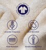 Cloud Dancer 100% Organic Cotton Solid 550 GSM Hand Towels (2 Pc)