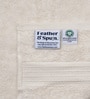 Cloud Dancer 100% Organic Cotton Solid 550 GSM Hand Towels Pack of 2