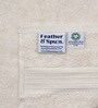 Cloud Dancer 100% Organic Cotton Solid 550 GSM Hand Towels Pack of 2