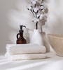 Cloud Dancer 100% Organic Cotton Solid 550 GSM Hand Towels Pack of 2