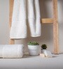 Cloud Dancer 100% Organic Cotton Solid 650 GSM Bath Towel (1 Pc)