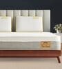 Cloud Hotel Comfort Hypoallergenic 8 Inches Plush EuroTop with Quilted Memory Foam & Responsive Latex Queen Size Mattress