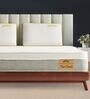 Cloud Hotel Comfort Hypoallergenic 8 Inch Plush EuroTop with Quilted Memory Foam & Responsive Latex King Size Mattress