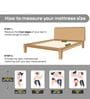 Cloud Hotel Comfort Hypoallergenic 8 Inches Plush EuroTop with Quilted Memory Foam & Responsive Latex Queen Size Mattress