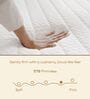 Cloud Hotel Comfort Hypoallergenic 8 Inches Plush EuroTop with Quilted Memory Foam & Responsive Latex Queen Size Mattress