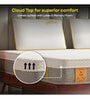 Cloud Spring Low-Motion Transfer 8 Inch Pocketed Spring & HD Foam Single Mattress