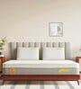 Cloud Spring Low-Motion Transfer 8 Inch Pocketed Spring & HD Foam Single Mattress
