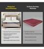 Cloud Spring Low-Motion Transfer 8 Inch Pocketed Spring & HD Foam Single Mattress