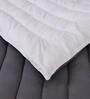 Grey Cotton 200 AC Room Double Bed Duvet Insert