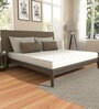 Club King Bed Dual Side Usable In a Box Latex Mattress 78x72x8 Inches