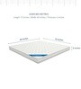 Club Queen Bed Dual Side Usable In a Box Latex Mattress 72x60x6 Inches