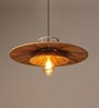 Cluster Raffia Hanging Light (Brown)