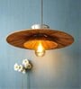 Cluster Raffia Hanging Light (Brown)