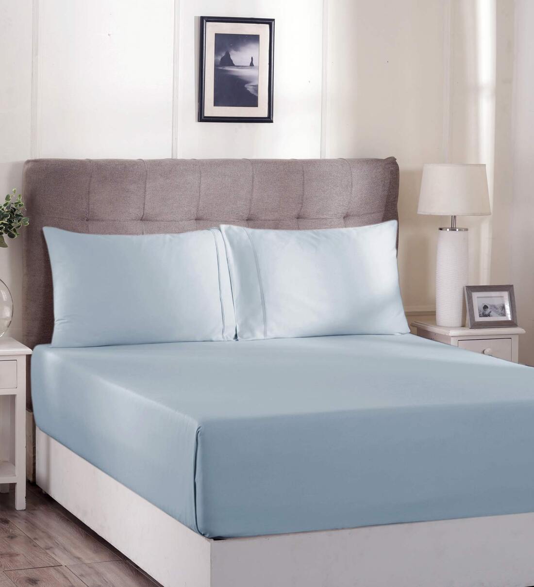 Buy Blue Solid 310 TC Cotton 1 Double King Size Bedsheet with 2 Pillow
