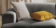 Comfort Haven 2 Seater Sofa In Dark Grey Color