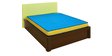 Cool Bond Reversible Orthopaedic Queen Size (75x60) 5 Inch Coir Mattress