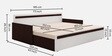 Corby Pull-Out Sofa Cum Bed with Mattress in Wenge Finish