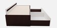 Corby Pull-Out Sofa Cum Bed with Mattress in Wenge Finish