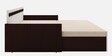 Corby Pull-Out Sofa Cum Bed with Mattress in Wenge Finish