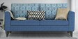 Cortina Damask Fabric 3 Seater Sofa in Blue Colour