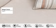 Corvin Fabric 3 Seater sofa with Wooden Armrests in Beige Colour
