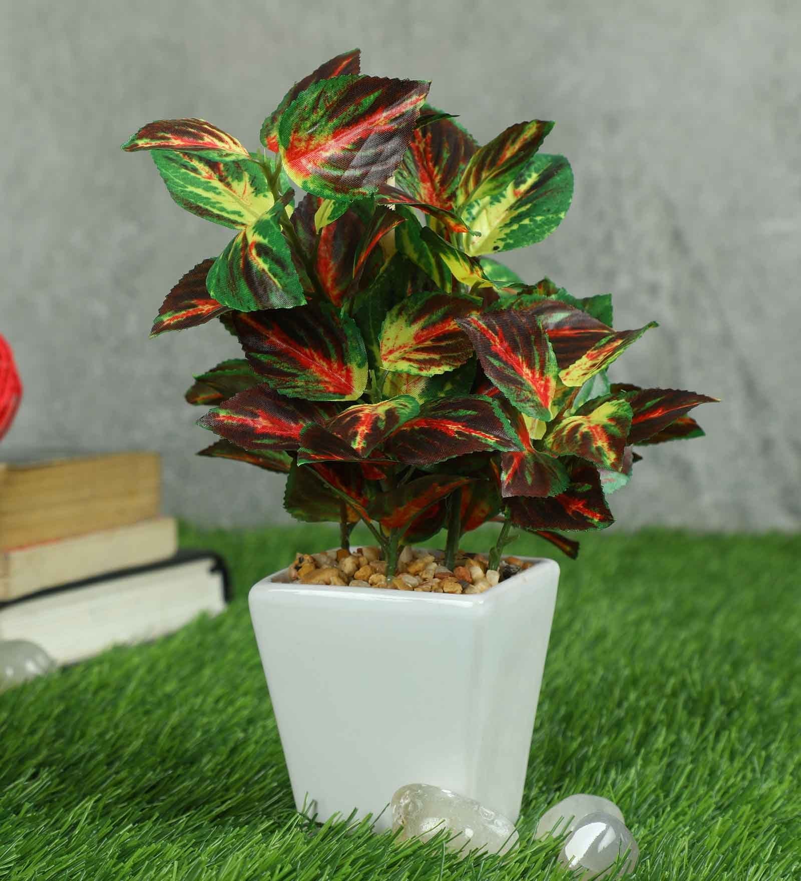 Coleus Pvc Coleus Artificial Bonsai With White Ceramic Pot