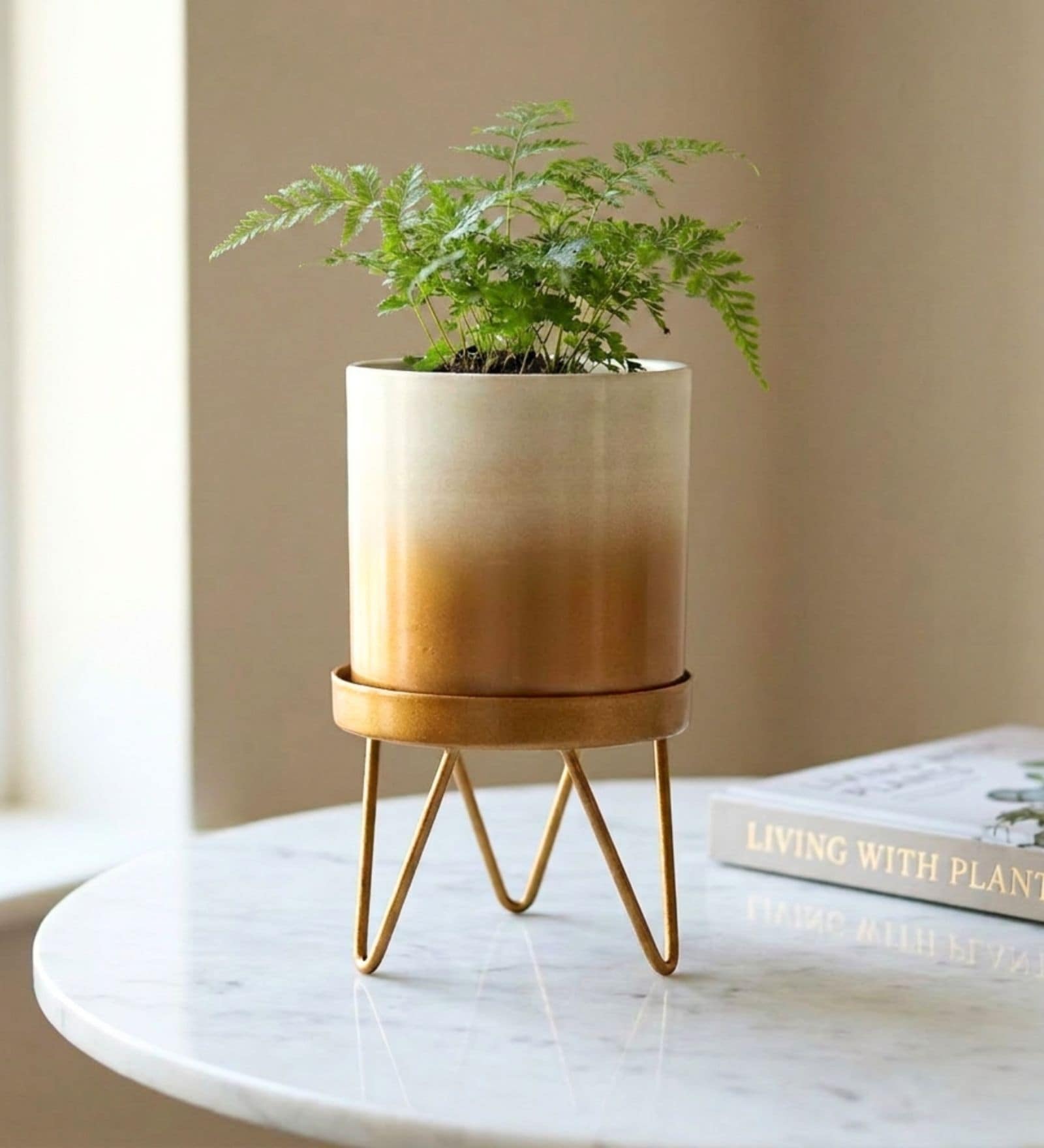 Gold Contemporary Premium Lucas Plant Pot
