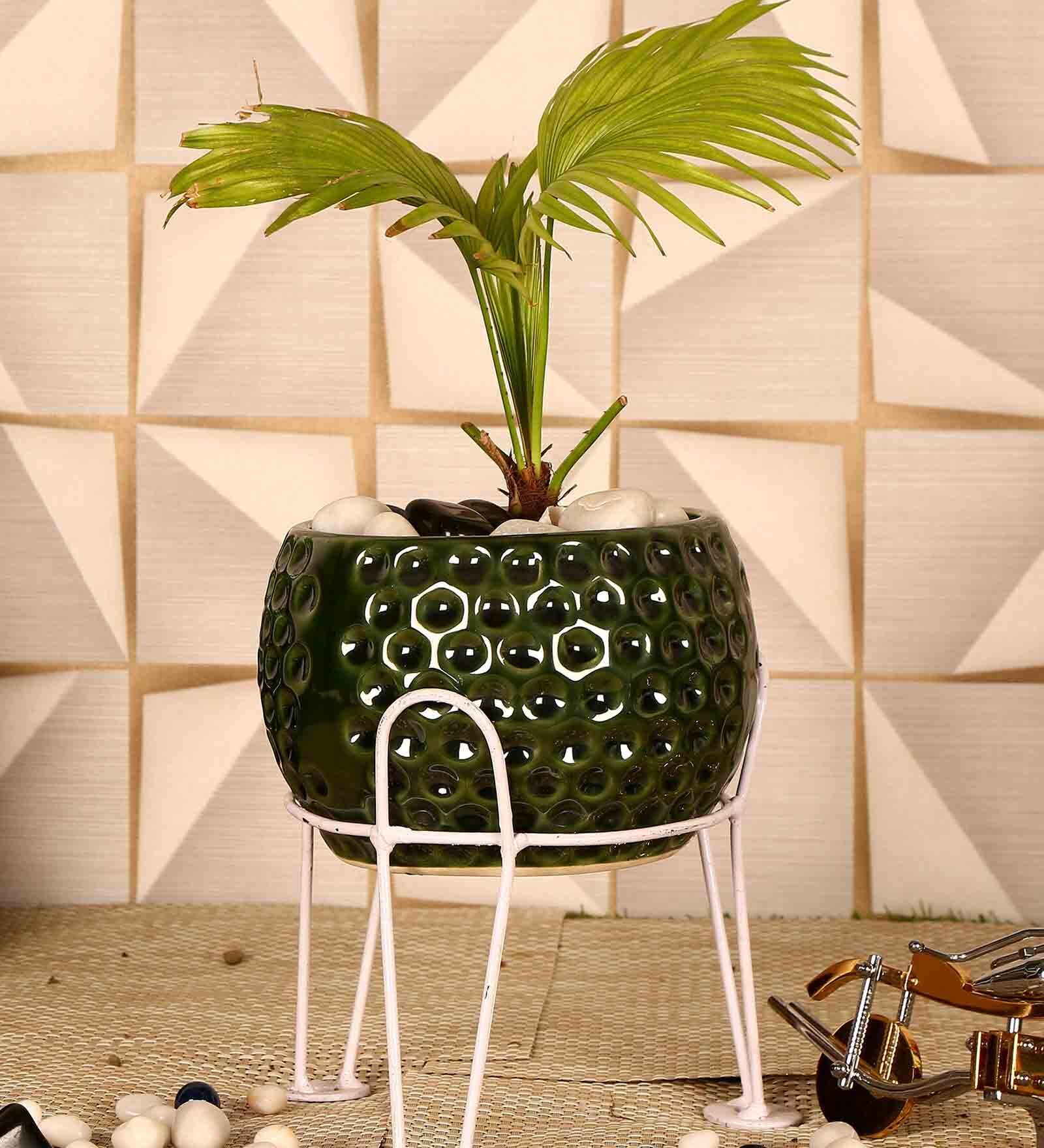 Buy Copper Green Ceramic Small Dot Bowl Planter by Justoriginals at 33