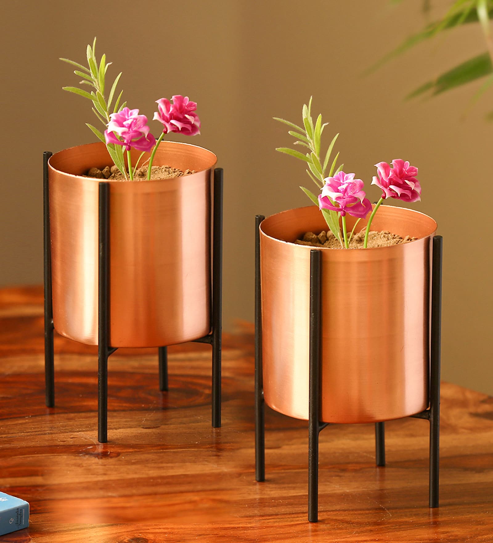 Buy Copper Iron \The Copper Cylindrical\ Planter Pots With Crossed