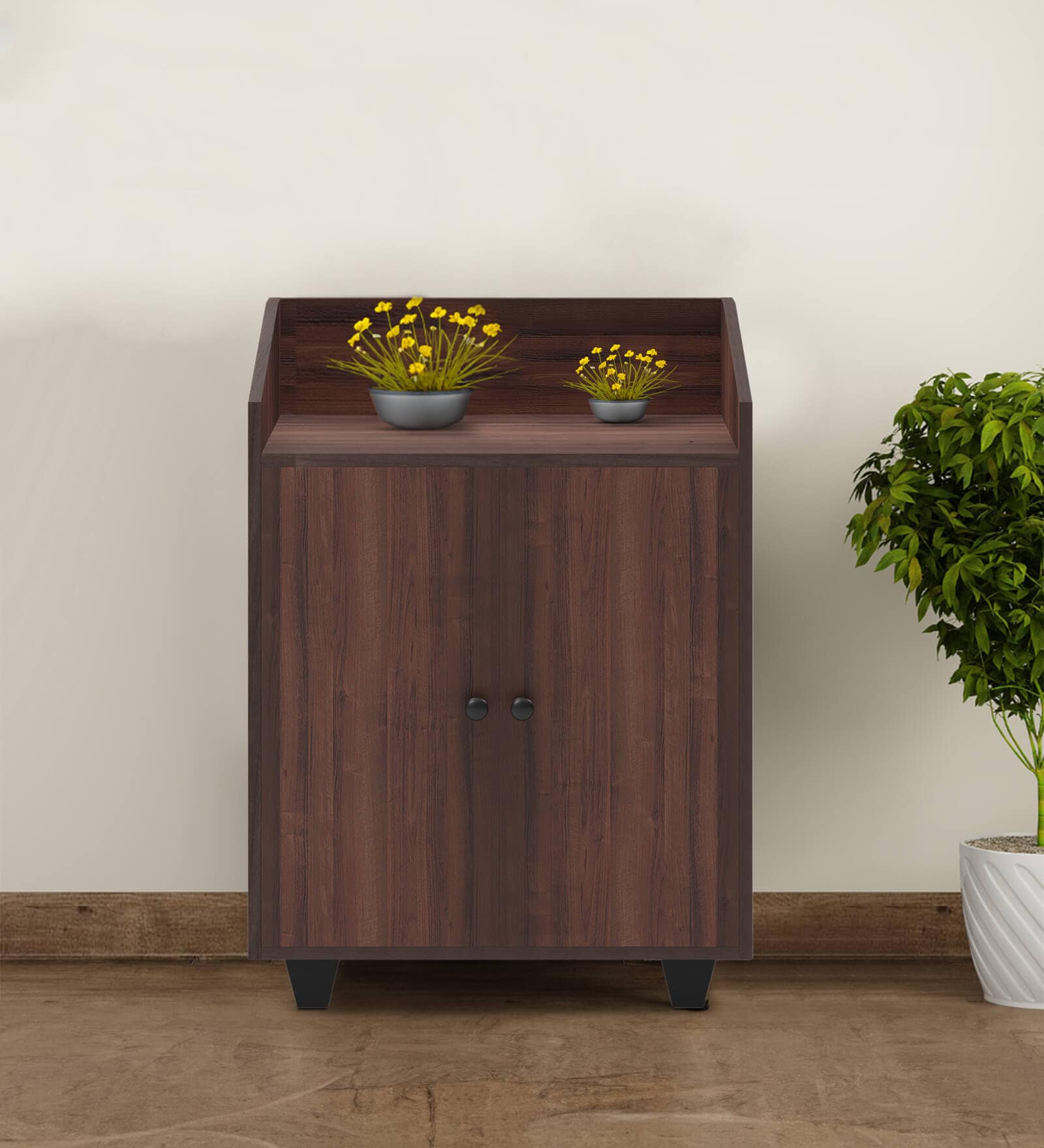 Rowan 2 Door Shoe Cabinet In Brown Finish