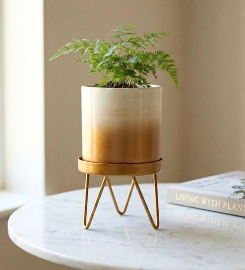 Gold Contemporary Premium Lucas Plant Pot