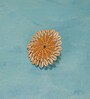 Coastal Jute S/4 Coaster with Shell Border