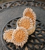 Coastal Jute S/4 Coaster with Shell Border