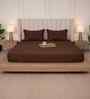 Cocoa Brown Solid 300 TC Pure Cotton King Fitted Bedsheet with 2 Pillow Covers
