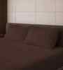 Cocoa Brown Solid 500 TC Pure Cotton King Fitted Bedsheet with 2 Pillow Covers