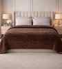 Cocoa Brown Solid Microfiber Ultra Soft 300GSM Double Bed Quilt