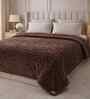 Cocoa Brown Solid Microfiber Ultra Soft 300GSM Double Bed Quilt