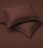Cocoa Brown Stripe 300 TC Pure Cotton King Fitted Bedsheet with 2 Pillow Covers