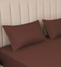 Cocoa Brown Stripe 300 TC Pure Cotton King Fitted Bedsheet with 2 Pillow Covers