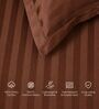 Brown 300TC 100% Cotton Stripe Flat Super King Bedsheet with 2 Pillow Covers