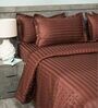 Brown 300TC 100% Cotton Stripe Flat Super King Bedsheet with 2 Pillow Covers