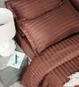 Brown 300TC 100% Cotton Stripe Flat Super King Bedsheet with 2 Pillow Covers