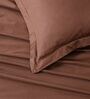 Brown 400TC 100% Cotton Solid Flat Super King Bedsheet With 2 Pillow Covers