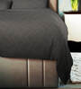 Cocoa Abstract 100% Satin Queen Double Bedsheet 300 TC with 2 Pillow Covers