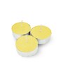 Coconut Lime Tealight Candles Set of 50
